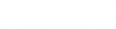hassan2 logo